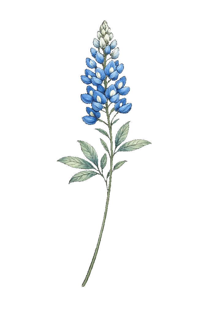 Bluebonnet Growth